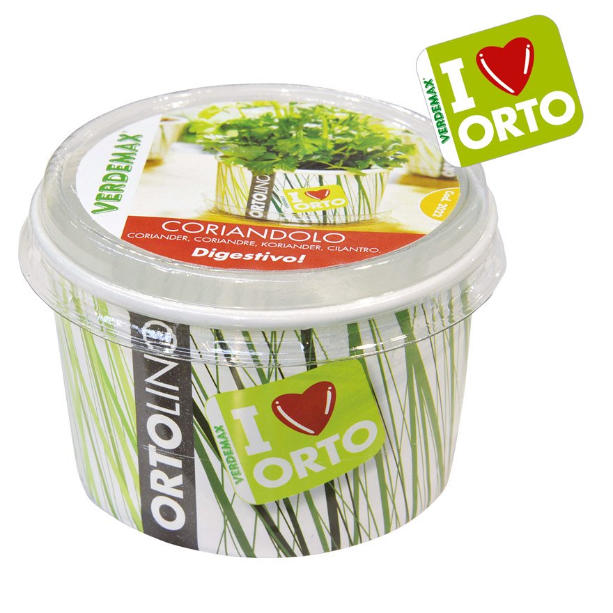 KIT ORTOLINO CORIANDOLO