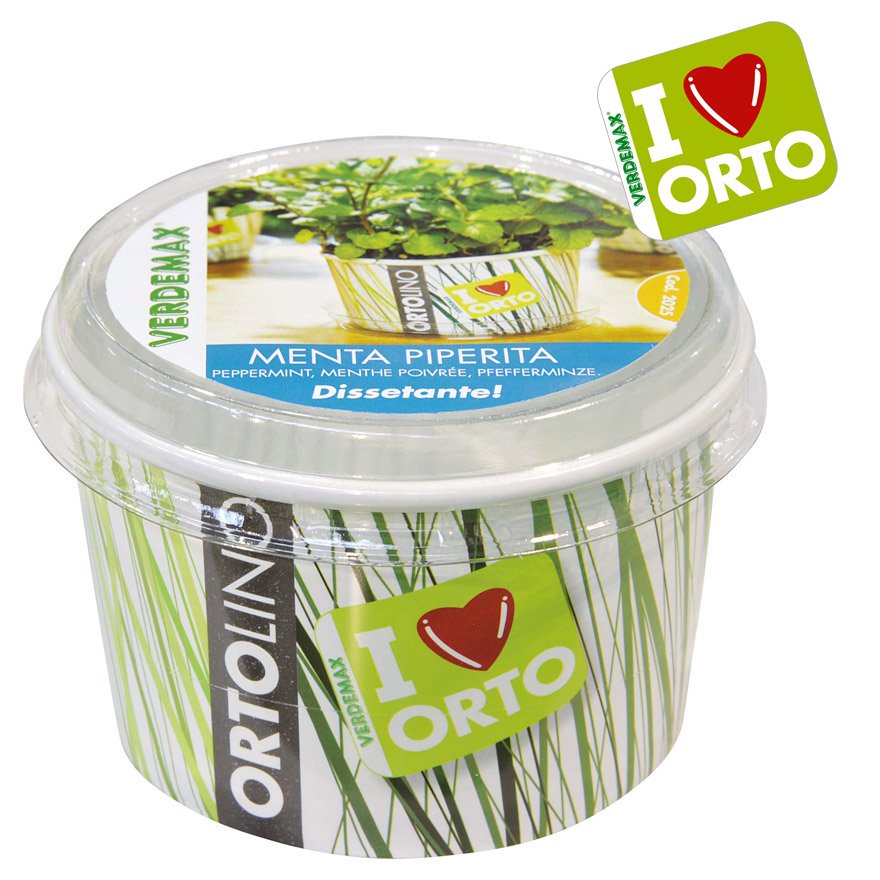 KIT ORTOLINO MENTA PIPERITA