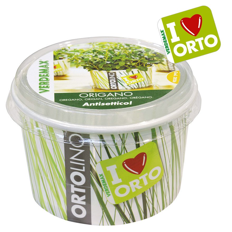 KIT ORTOLINO ORIGANO