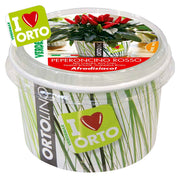 KIT ORTOLINO PEPERONCINO ROSSO