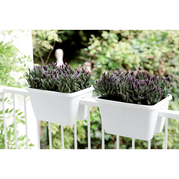FIORIERA BARCELONA FLOWER BRIDGE 40CM COLORE A SCELTA
