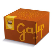 PANETTONE GRAN GALUP CON GOCCE DI CIOCCOLATO BIANCO AL CARAMELLO 1KG