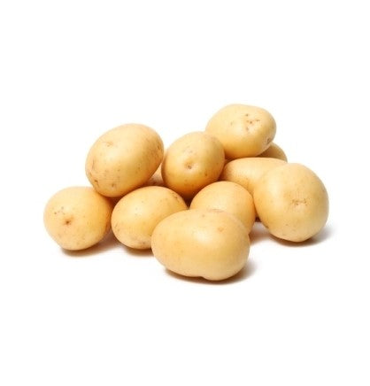 PATATA CHARLOTTE 1/2 PRECOCE DA SEMINARE 1,5KG PASTA GIALLA