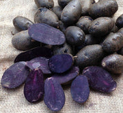PATATA VIOLA FLEUR BLEUE DA SEMINARE 1,5KG