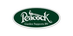 Logo Brand