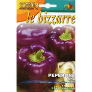 SEMI DI PEPERONE VIOLA ODA LE BIZZARRE FRANCHI SEMENTI