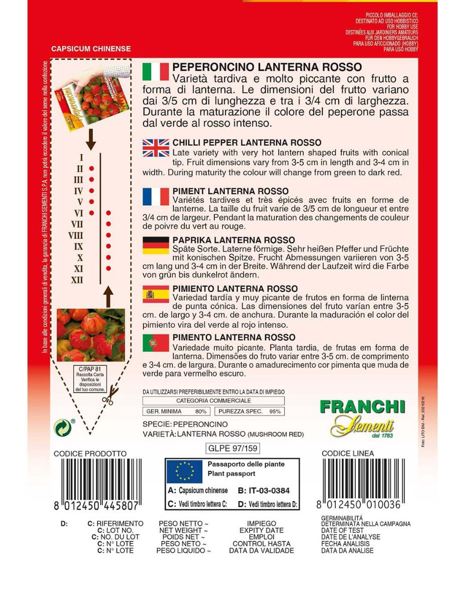SEMI PEPERONCINO LANTERNA ROSSO