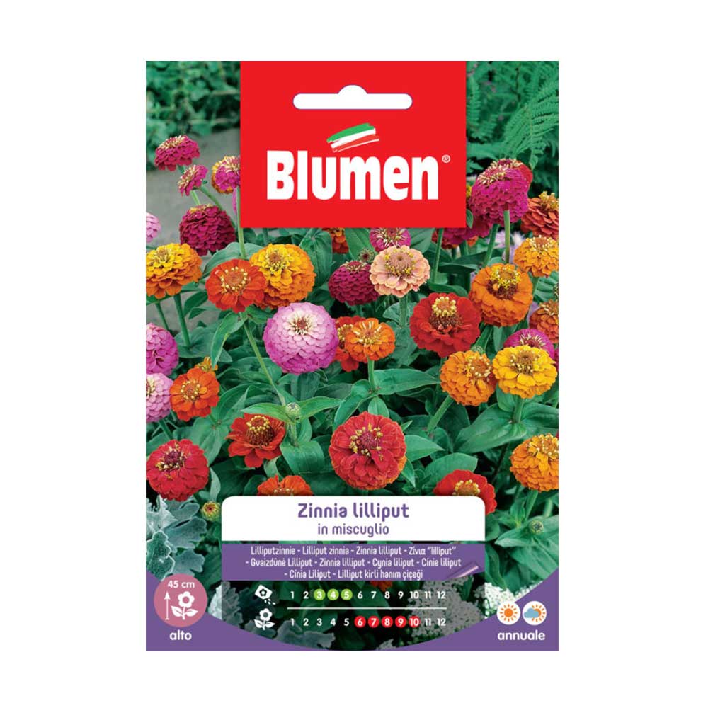 SEMI ZINNIA LILLIPUT MIX BLUMEN