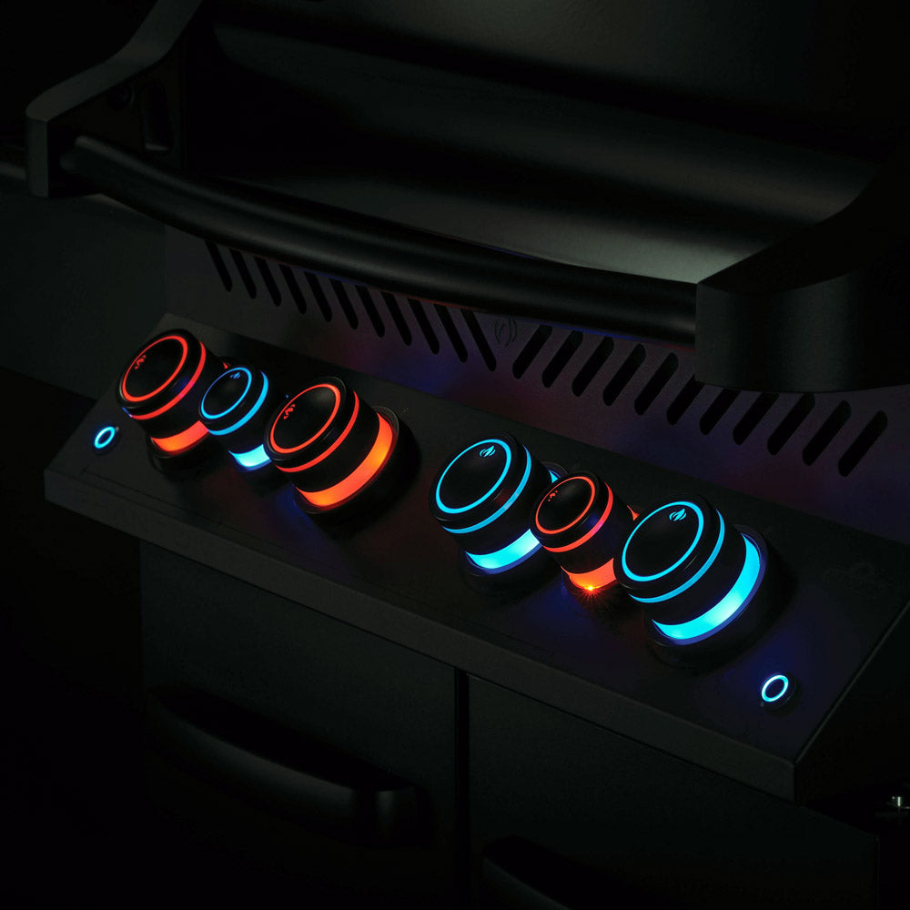 BARBECUE A GAS PHANTOM P500RSIBPMK
