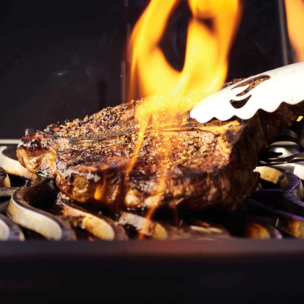 BARBECUE A GAS PHANTOM P500RSIBPMK