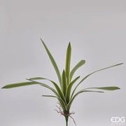 PIANTA ARTIFICIALE FALANGIO REAL H51CM 12 FOGLIE