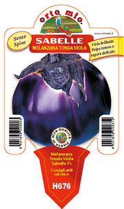 3 PIANTE IN VASO Ø10CM DI MELANZANA TONDA VIOLETTA