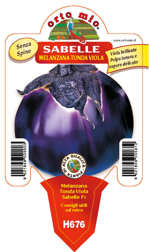 3 PIANTE IN VASO Ø10CM DI MELANZANA TONDA VIOLETTA