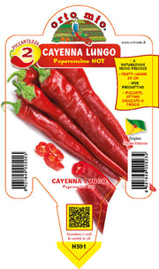PIANTA DI PEPERONCINO CAYENNA LUNGO (IN VASO Ø 14CM)