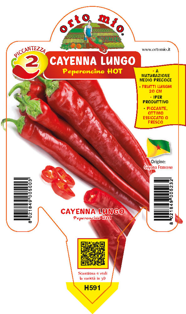 PIANTA DI PEPERONCINO CAYENNA LUNGO (IN VASO Ø 14CM)