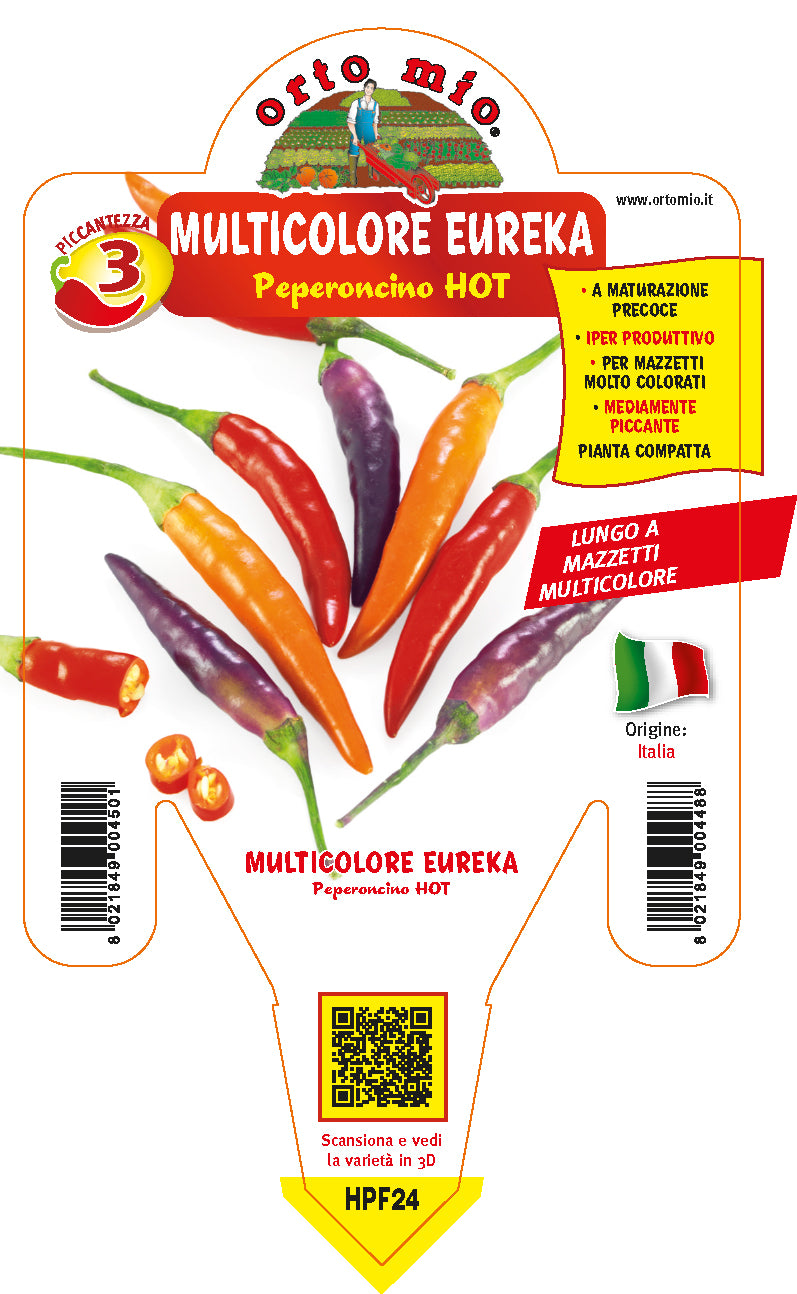 PIANTA DI PEPERONCINO LUNGO EUREKA CON FRUTTI (IN VASO Ø 14CM)