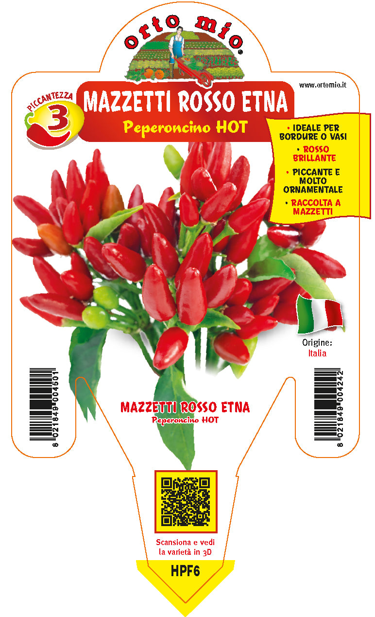 PIANTA DI PEPERONCINO MAZZETTI ROSSO ETNA (IN VASO Ø 14CM)