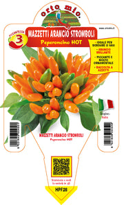 PIANTA DI PEPERONCINO STROMBOLI MAZZETTI ARANCIO (IN VASO Ø 14CM)