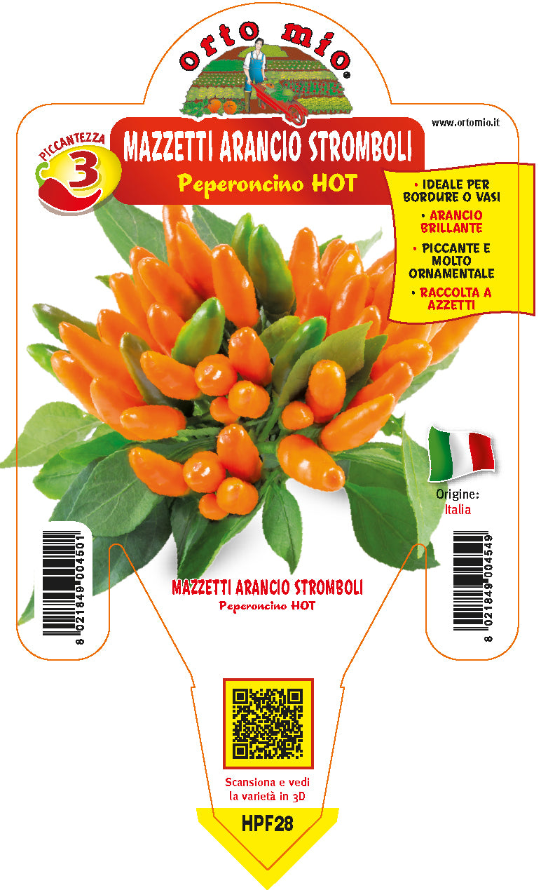 PIANTA DI PEPERONCINO STROMBOLI MAZZETTI ARANCIO (IN VASO Ø 14CM)