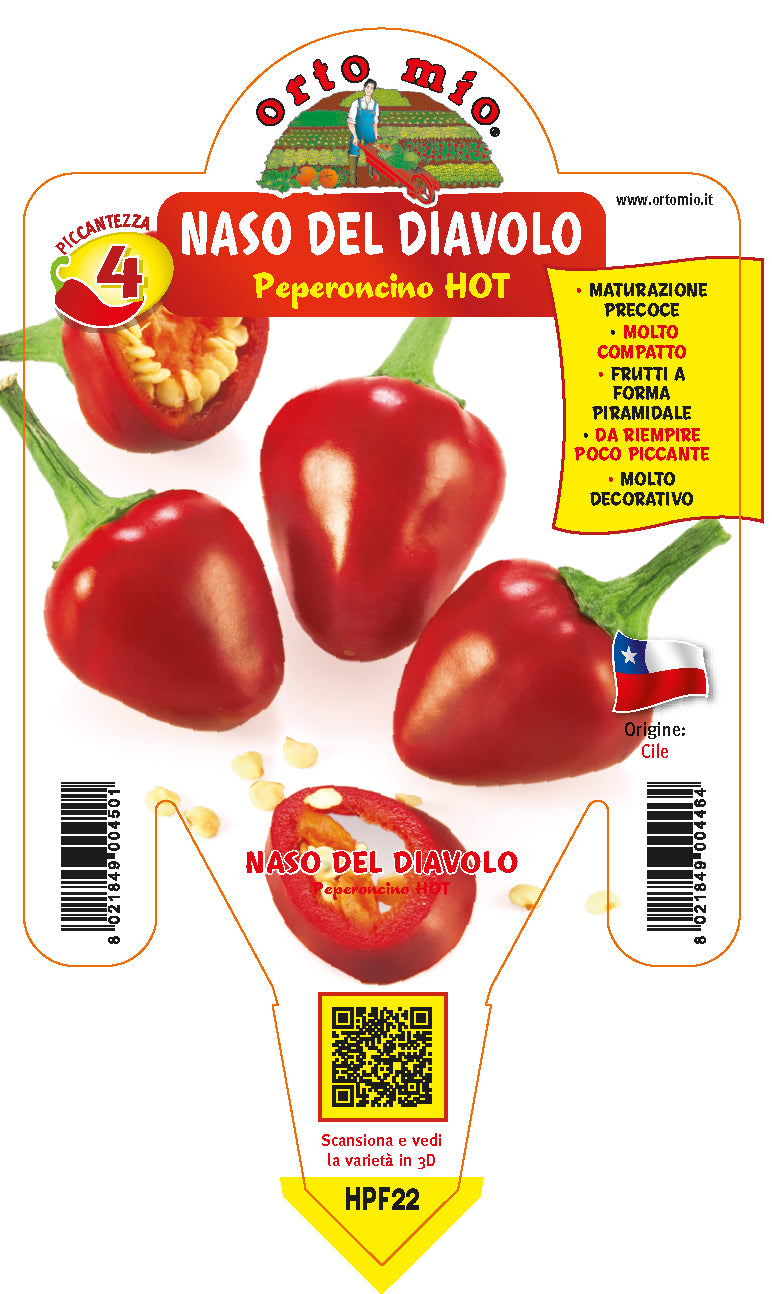 PIANTA DI PEPERONCINO PANCHO (IN VASO Ø 14CM)