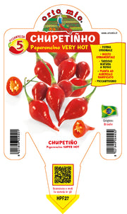 PIANTA DI PEPERONCINO CHUPETINHO (IN VASO Ø 14CM)