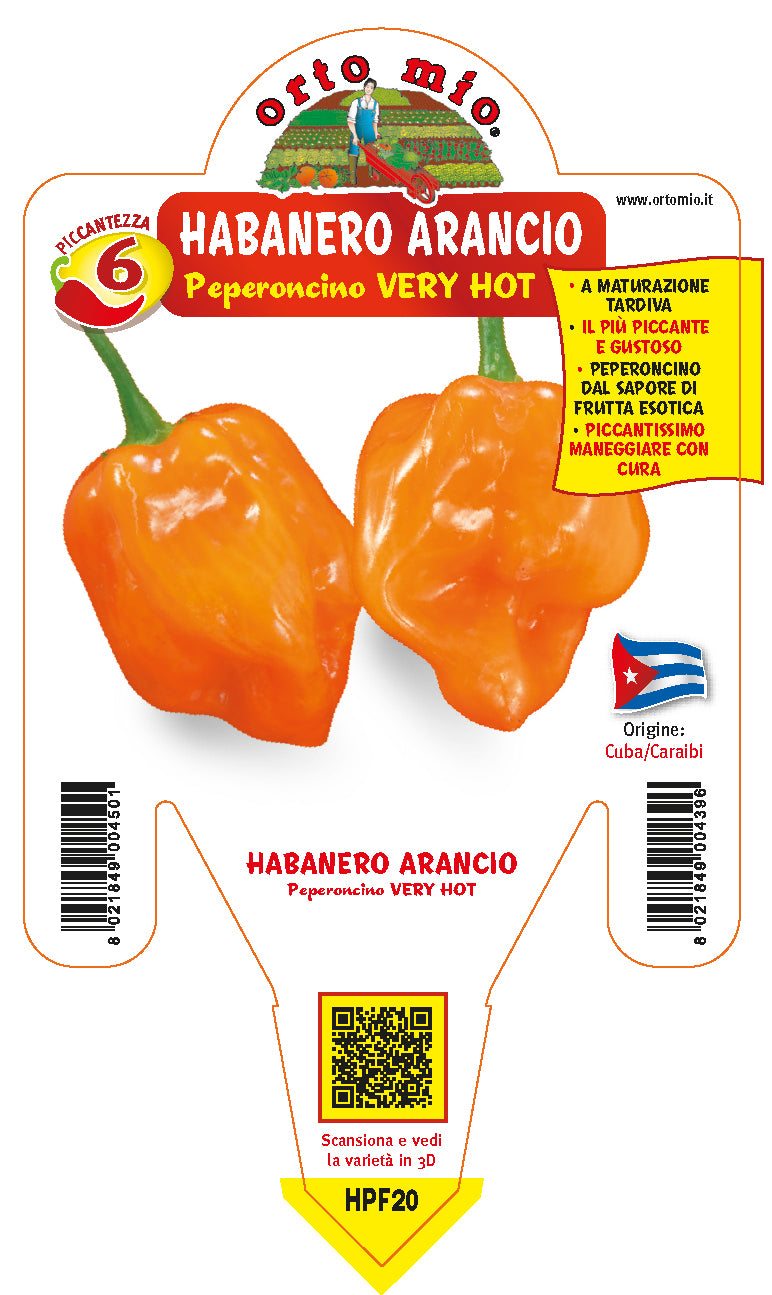 PIANTA DI PEPERONCINO HABANERO ARANCIO (IN VASO Ø 14CM)