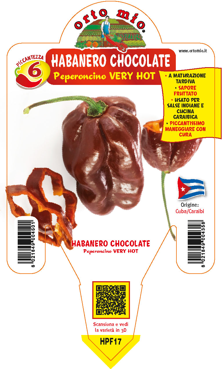 PIANTA DI PEPERONCINO HABANERO CHOCOLATE (IN VASO Ø 14CM)