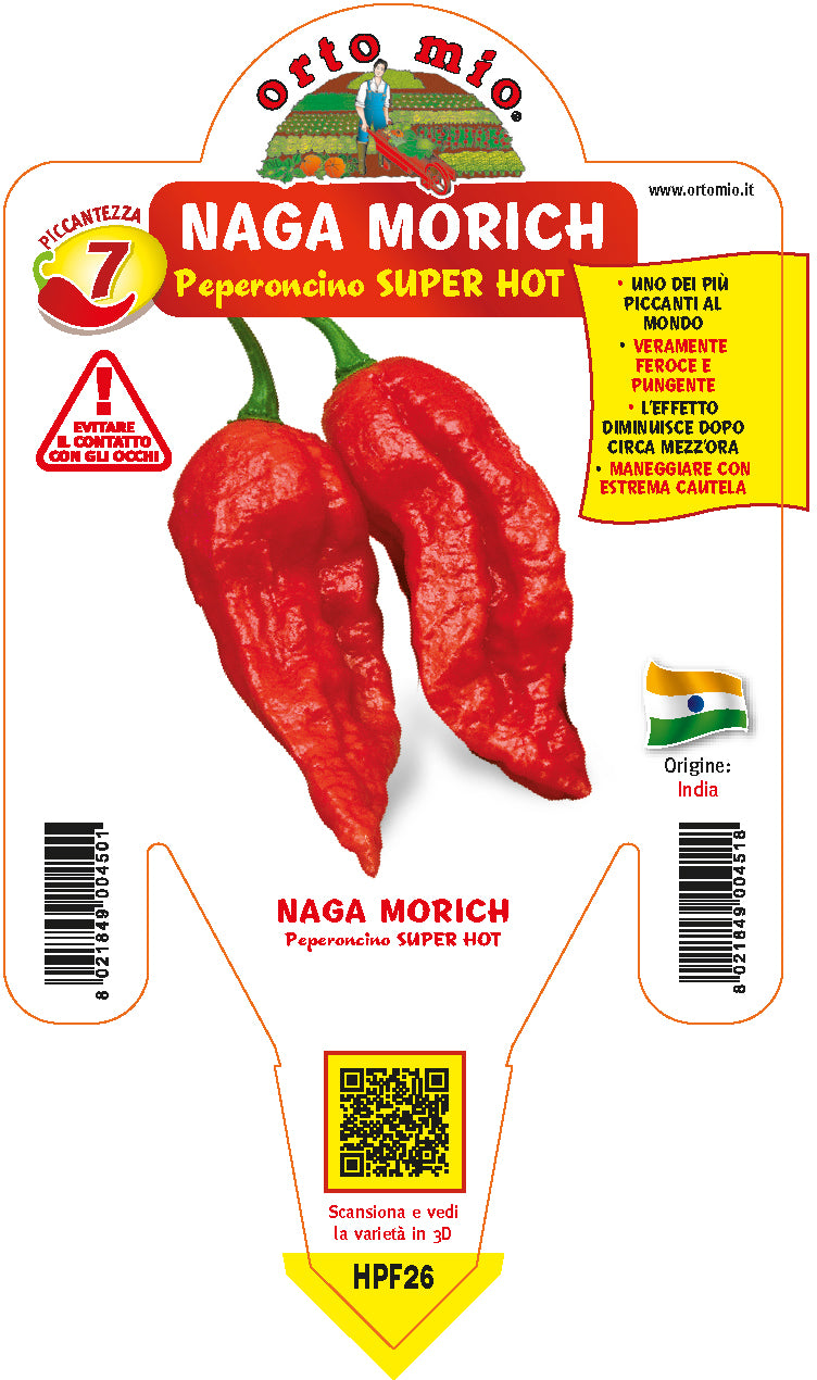PIANTA DI PEPERONCINO NAGA MORICH (IN VASO Ø 14CM)