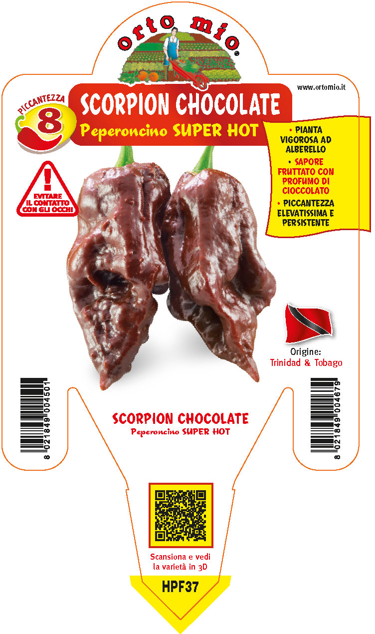 PIANTA DI PEPERONCINO TRINIDAD SCORPION CHOCOLATE (IN VASO Ø 14CM)
