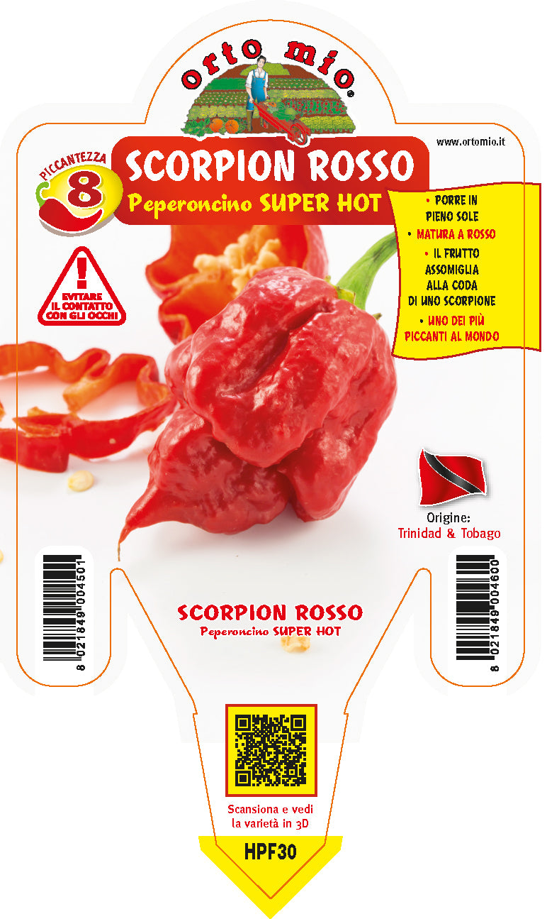 PIANTA DI PEPERONCINO TRINIDAD SCORPION ROSSO (IN VASO Ø 14CM)