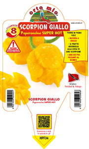 PIANTA DI PEPERONCINO TRINIDAD SCORPION G. (IN VASO Ø 14CM)