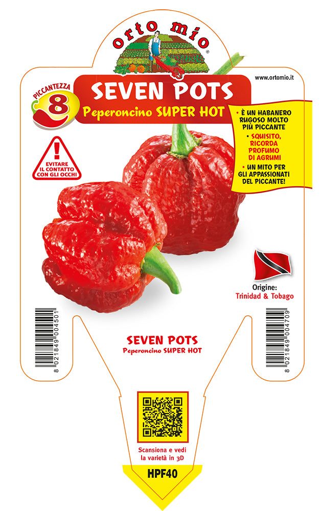 PIANTA DI PEPERONCINO SEVEN POTS (IN VASO Ø 14CM)