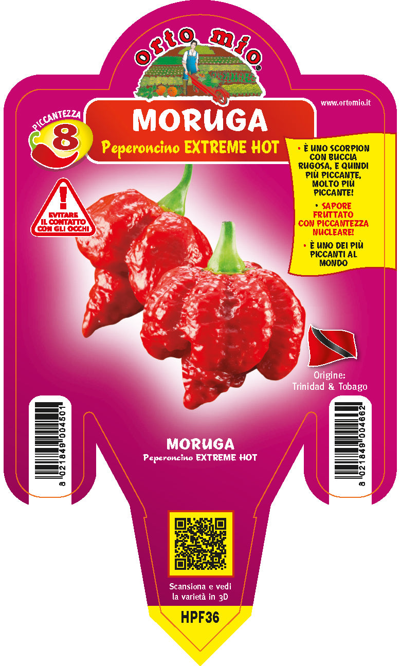 PIANTA DI PEPERONCINO MORUGA SCORPION ROSSO (IN VASO Ø 14CM)