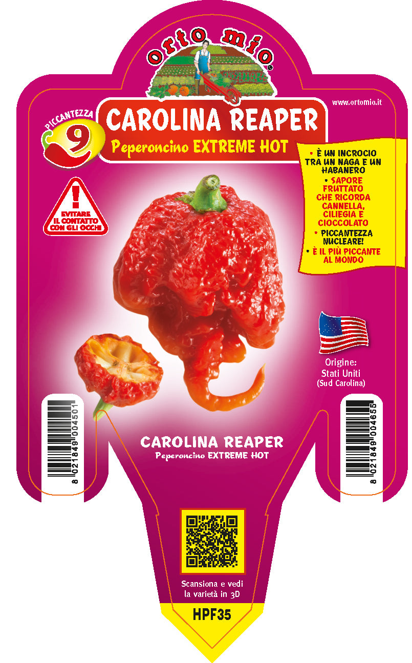 PIANTA DI PEPERONCINO CAROLINA REAPER (IN VASO Ø 14CM)