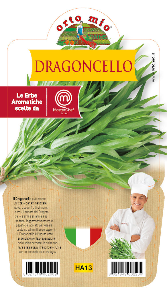 1 PIANTA DI DRAGONCELLO VASO 14CM MASTERCHEF ORTOMIO MASTERCHEF
