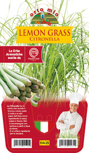 LEMON GRASS CITRONELLA (IN VASO Ø14CM)