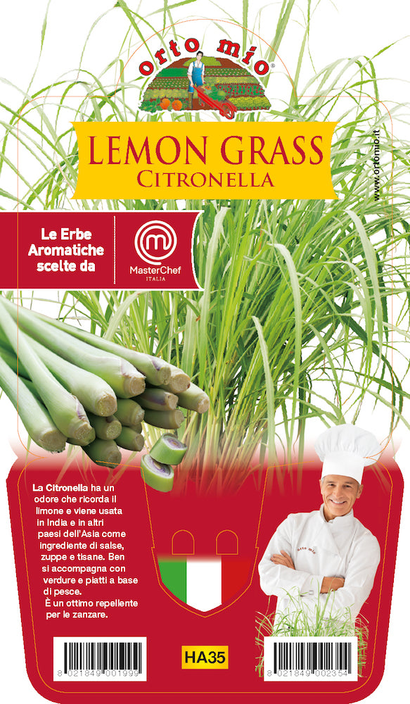 LEMON GRASS CITRONELLA (IN VASO Ø14CM)