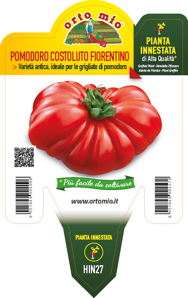 PIANTA DI POMODORO SUPERCOSTOLUTO NOVOLI INNESTATO (IN VASO Ø14CM)