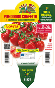 PIANTA DI POMODORO CUBELLO INNESTATO (IN VASO Ø14CM)