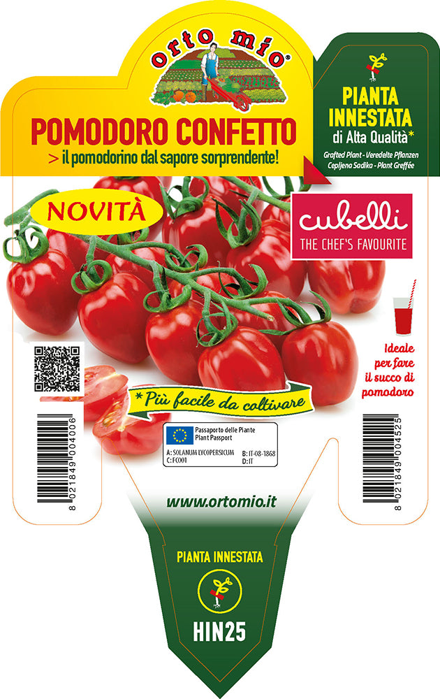 PIANTA DI POMODORO CUBELLO INNESTATO (IN VASO Ø14CM)