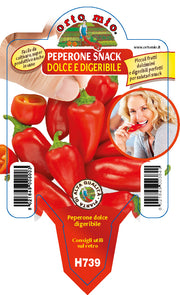 3 PIANTE IN VASO Ø10CM DI PEPERONE SNACK DOLCE DIGERIBILE