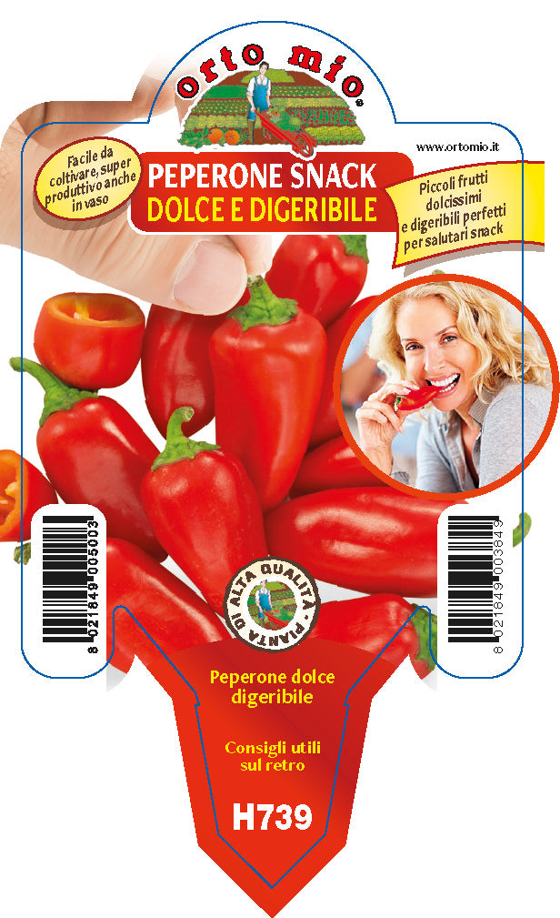 3 PIANTE IN VASO Ø10CM DI PEPERONE SNACK DOLCE DIGERIBILE