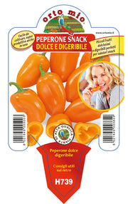 3 PIANTE IN VASO Ø10CM DI PEPERONE SNACK DIGERIBILE