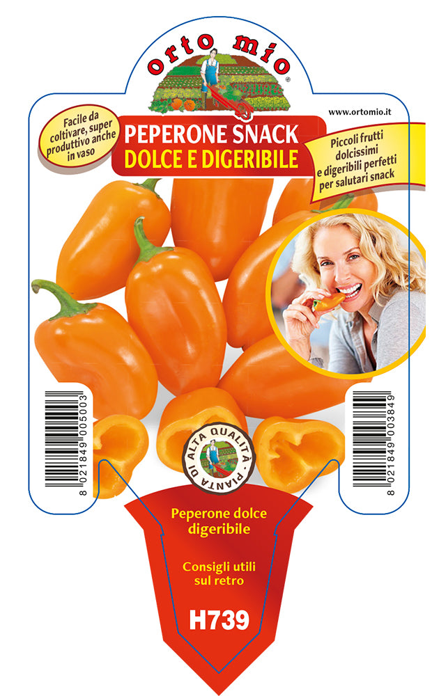 3 PIANTE IN VASO Ø10CM DI PEPERONE SNACK DIGERIBILE
