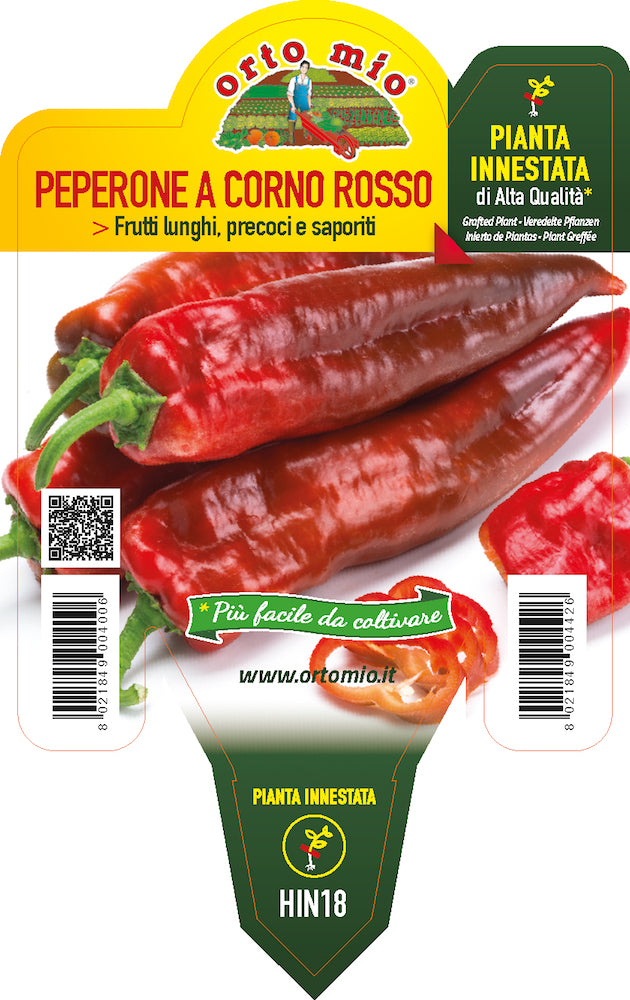 PIANTA DI PEPERONE CORNO ROSSO INNESTATO (IN VASO Ø14CM)