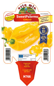 3 PIANTE DI PEPERONCINO SWEET PALERMO GIALLO (IN VASO Ø 10CM)