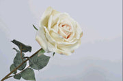 ROSA DECORATIVA CON GAMBO 66CM CREMA