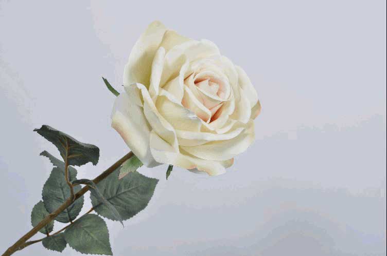ROSA DECORATIVA CON GAMBO 66CM CREMA