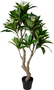 Pianta di Plumeria in Vaso D17cm Bianco e Giallo PERAGA HOME