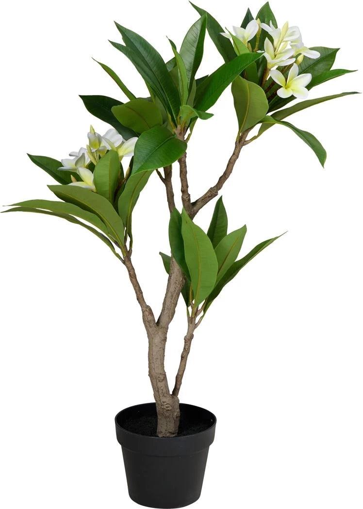 Pianta di Plumeria Frangipani Artificiale in Vaso D17 H45cm Bianco Giallo PERAGA HOME